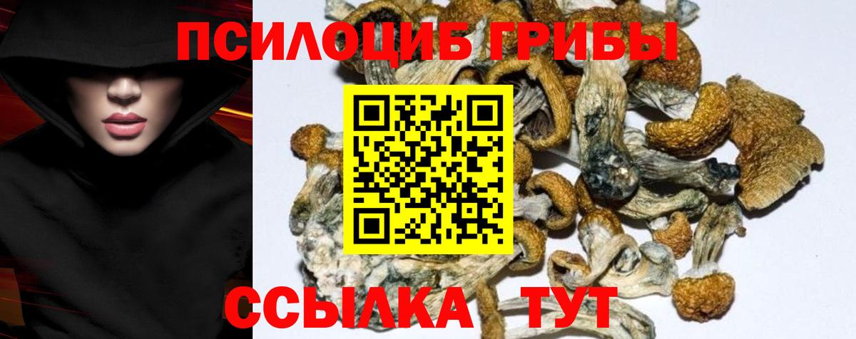 Псилоцибиновые грибы MAGIC MUSHROOMS  Вход с VPN  Кольчугино 